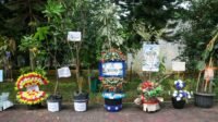 IMG-20261005-WA0001
